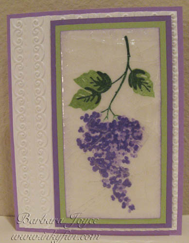 Blossoms Abound @