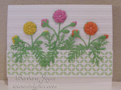 Ellen's Primulas