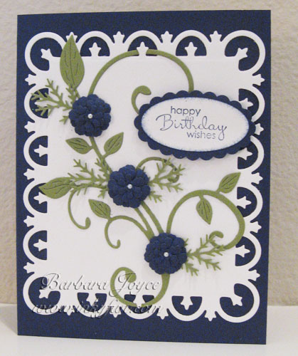 Navy Primulas